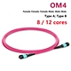 Fiber Optic Jumper