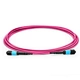 Fiber Optic Jumper