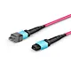 Fiber Optic Jumper