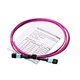 Fiber Optic Jumper